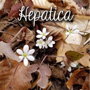 91697328_3248657665147796_6740853288767324160_n 91697328_3248657665147796_6740853288767324160_n