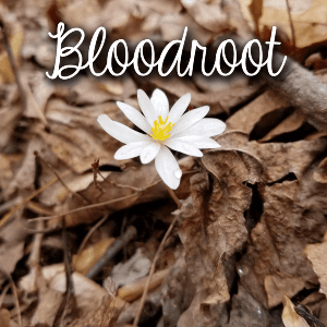 91422980_3248657601814469_5387973152129155072_n 91422980_3248657601814469_5387973152129155072_n