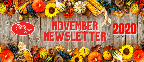 November Newsletter Header