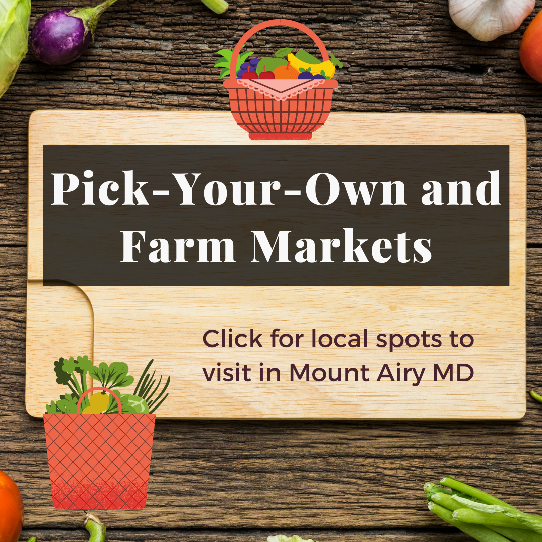 Pick Your Own and Farm Markets