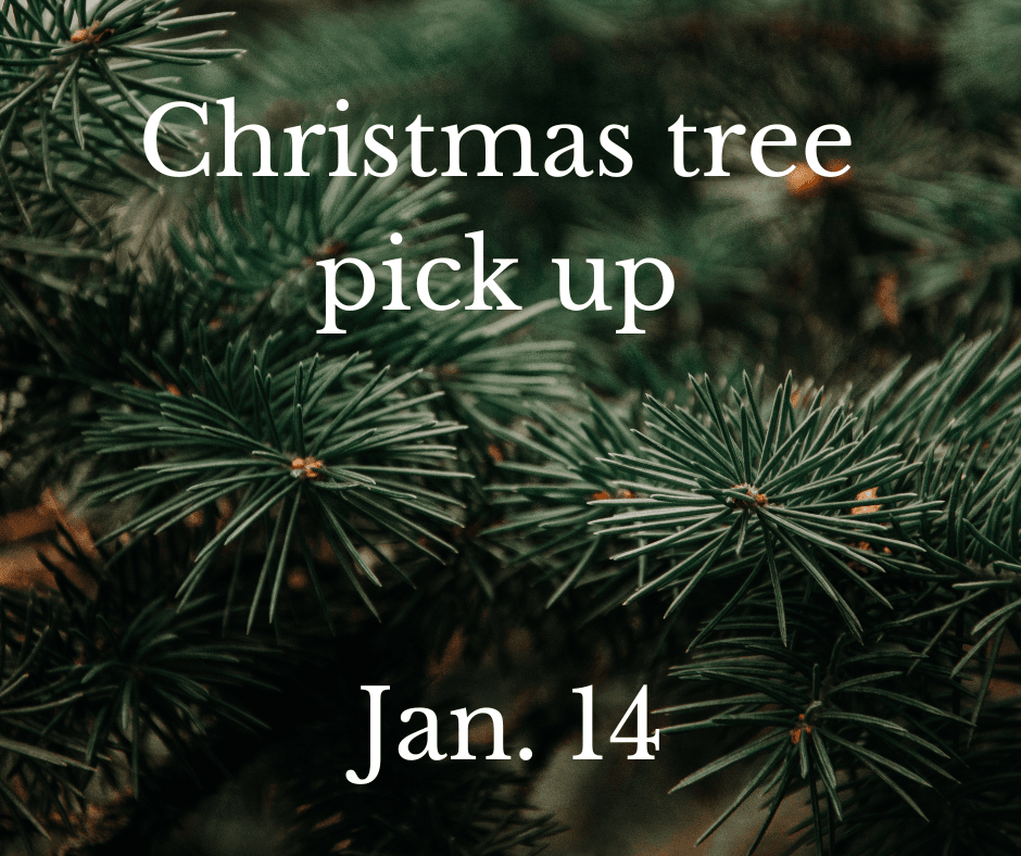 Christmas tree pick up