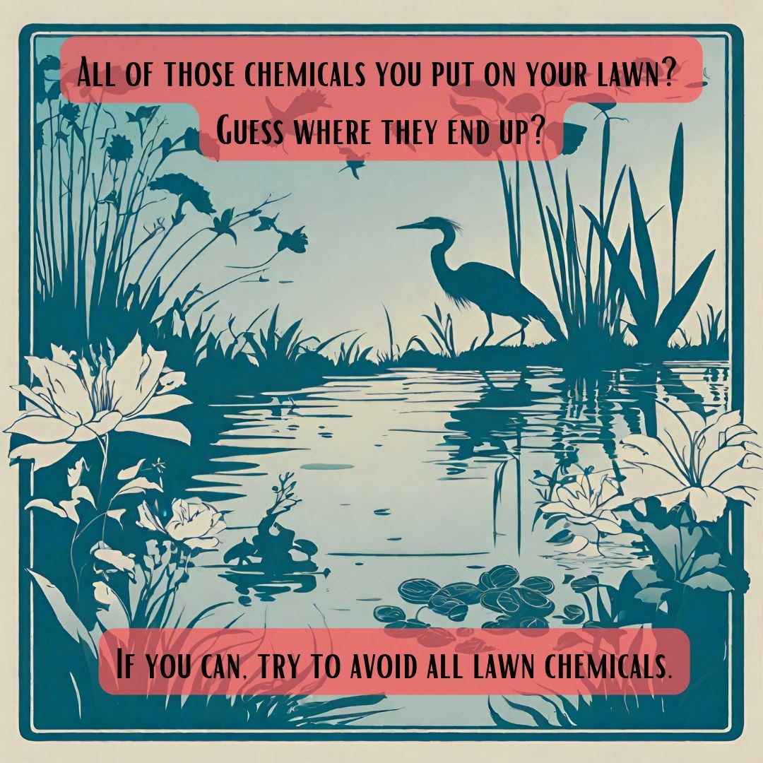 382226756_631382169076962_6187439698782639408_n