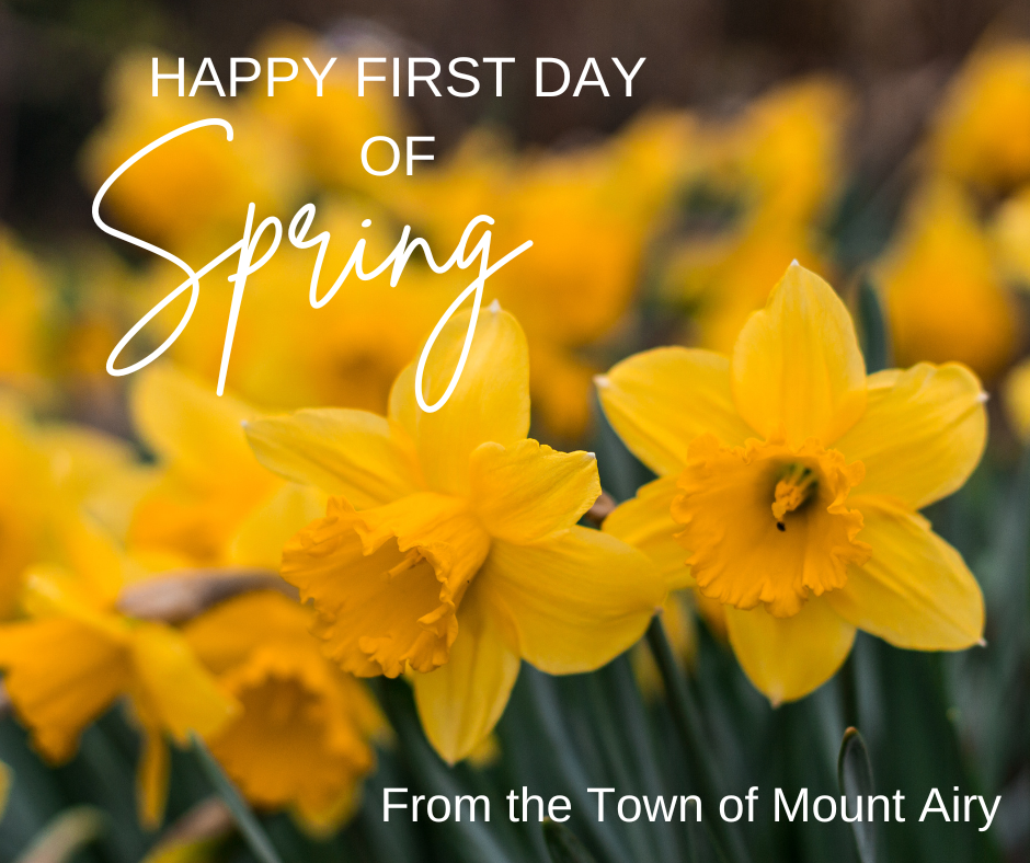 Happy First Day of Spring 