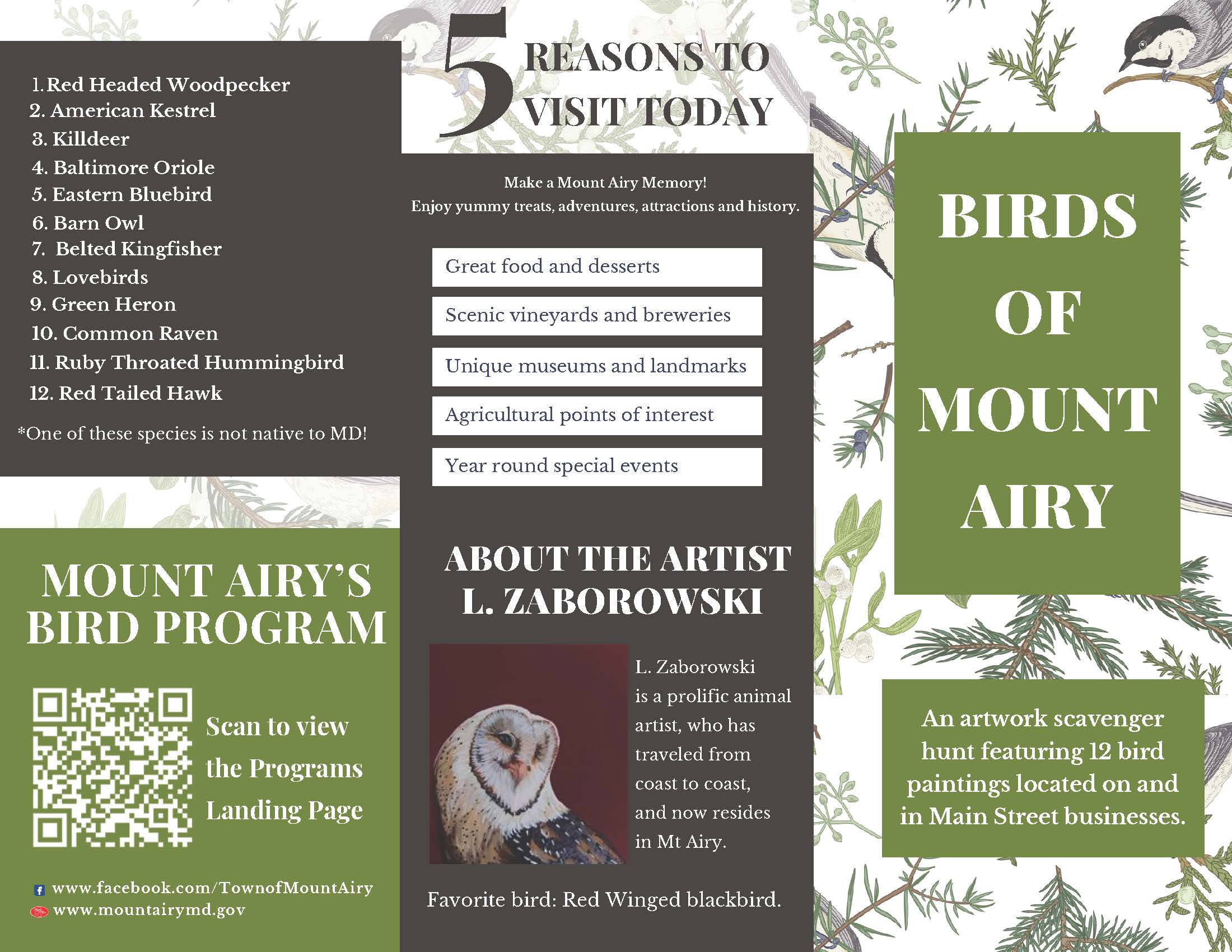 Birds Brochure (1)_Page_1