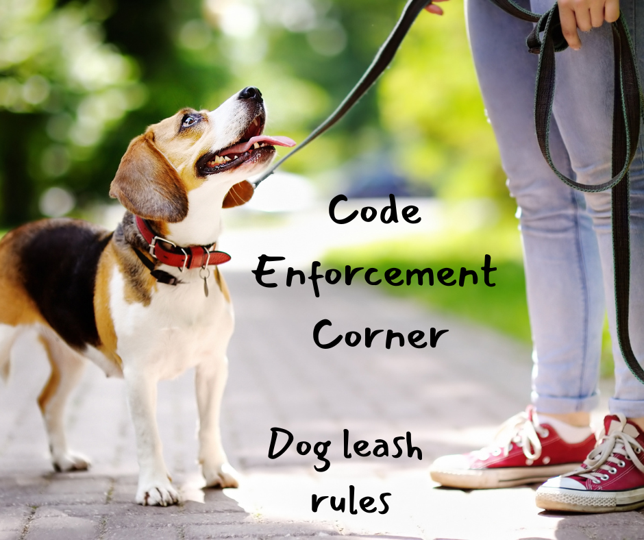 Code Enforcement Corner (6)