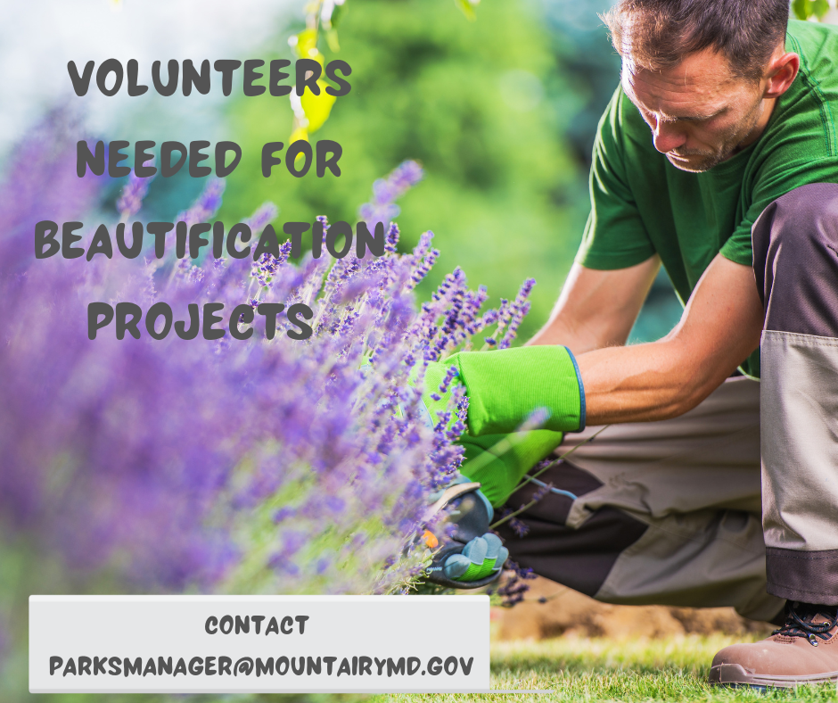 Volunteers needed for beautification projects