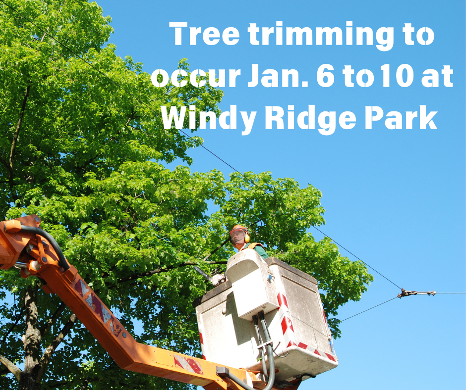 Tree trimming to occur Jan. 6 to 10 in Windy Ridge Park area.