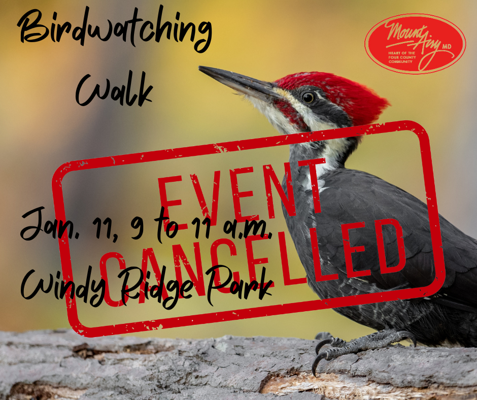 Learning to Bird By Ear (3)