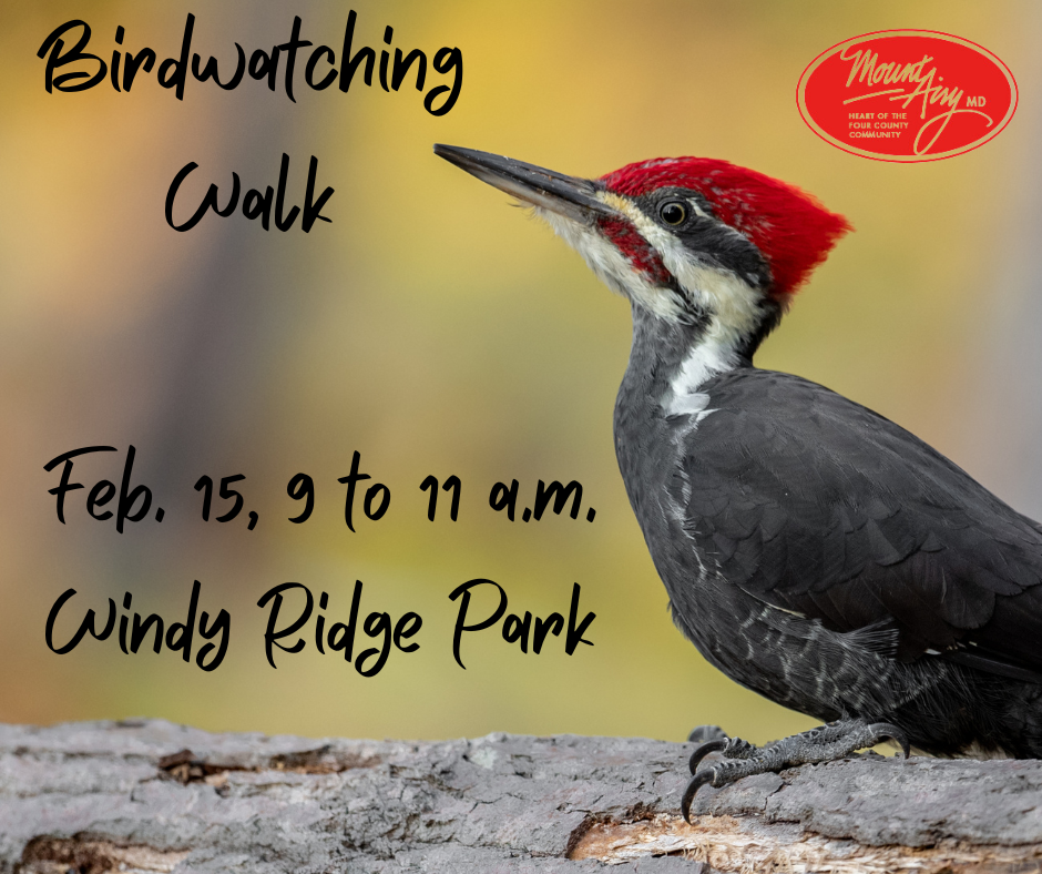 Learning to Bird By Ear (4)