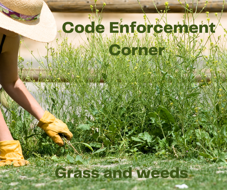 Code Enforcement Corner -- Grass and Weeds