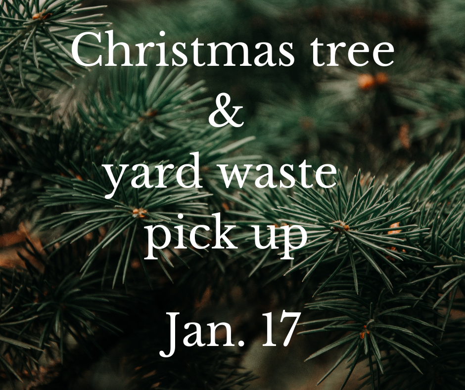 Christmas tree pick up (5)