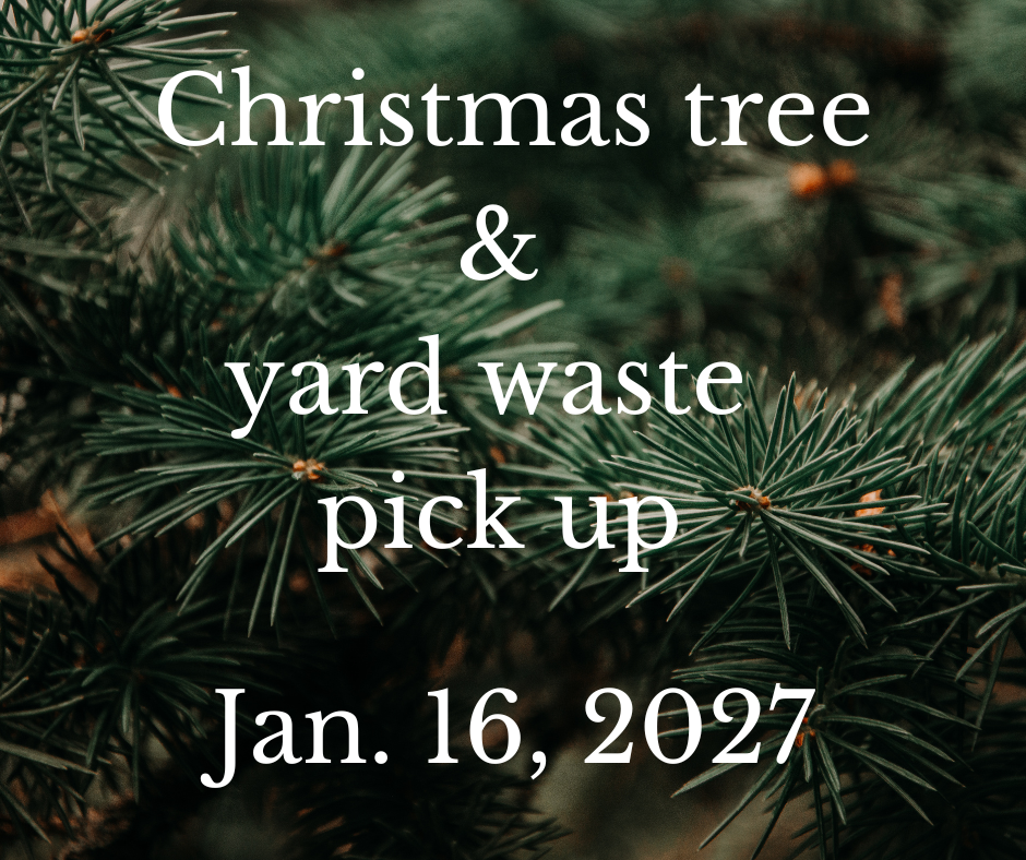 Christmas tree pick up (6)