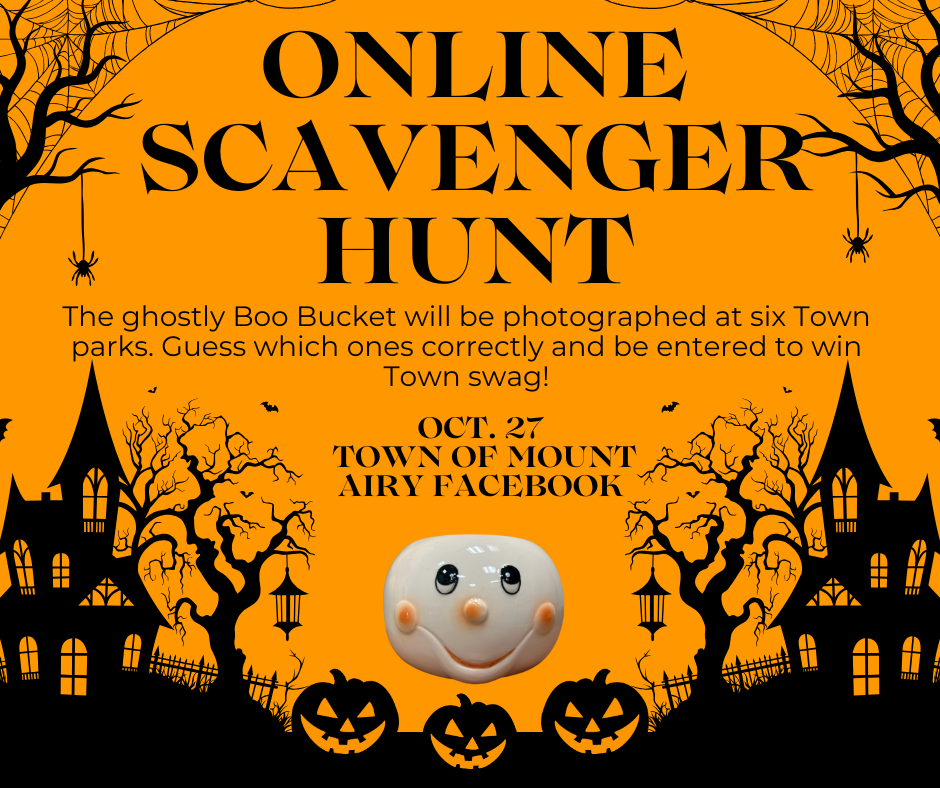 online Scavenger hunt (1)