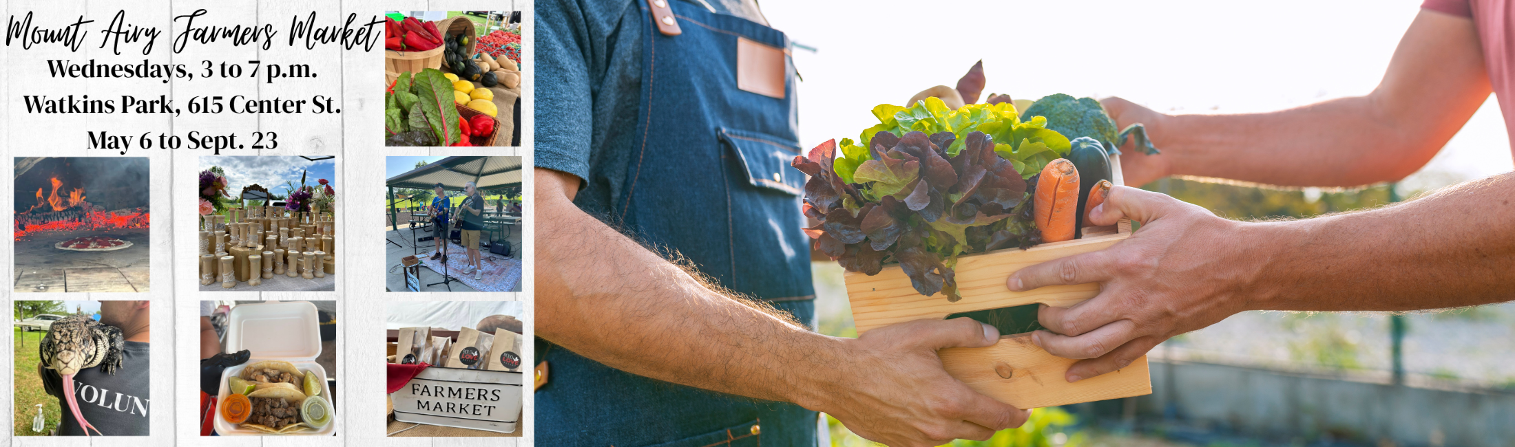 Mount Airy Farmers Market 